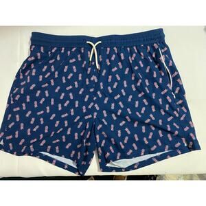 BRISIRA Pineapple Blue Pink Workout Shorts — 2XL